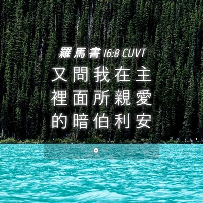 Picture 04 - 羅 馬 書 16:8 CUVT - 又 問 我 在 主 裡 面 所 親 愛 的 暗 - Bible Verse Picture