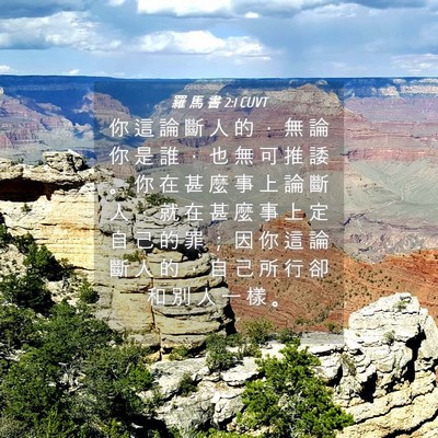 Picture 04 - 羅 馬 書 2:1 CUVT - 你 這 論 斷 人 的 ， 無 論 你 是 誰 - Bible Verse Picture