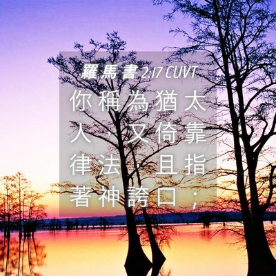 Picture 04 - 羅 馬 書 2:17 CUVT - 你 稱 為 猶 太 人 ， 又 倚 靠 律 法 - Bible Verse Picture