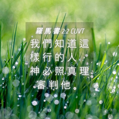 Picture 04 - 羅 馬 書 2:2 CUVT - 我 們 知 道 這 樣 行 的 人 ， 神 必 - Bible Verse Picture