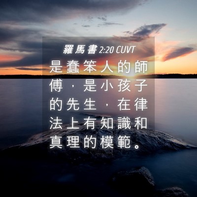 Picture 04 - 羅 馬 書 2:20 CUVT - 是 蠢 笨 人 的 師 傅 ， 是 小 孩 子 - Bible Verse Picture