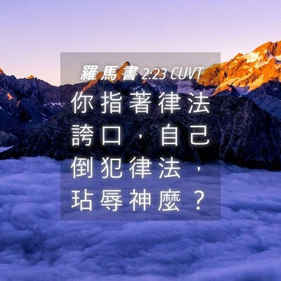 Picture 04 - 羅 馬 書 2:23 CUVT - 你 指 著 律 法 誇 口 ， 自 己 倒 犯 - Bible Verse Picture