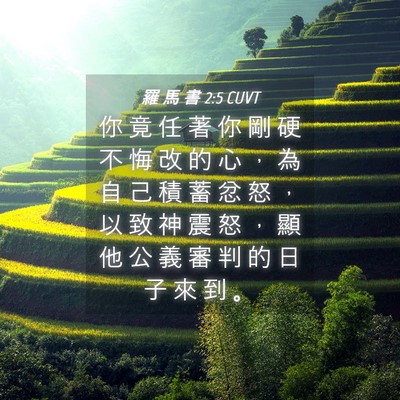 Picture 04 - 羅 馬 書 2:5 CUVT - 你 竟 任 著 你 剛 硬 不 悔 改 的 心 - Bible Verse Picture