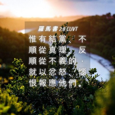 Picture 04 - 羅 馬 書 2:8 CUVT - 惟 有 結 黨 、 不 順 從 真 理 、 反 - Bible Verse Picture
