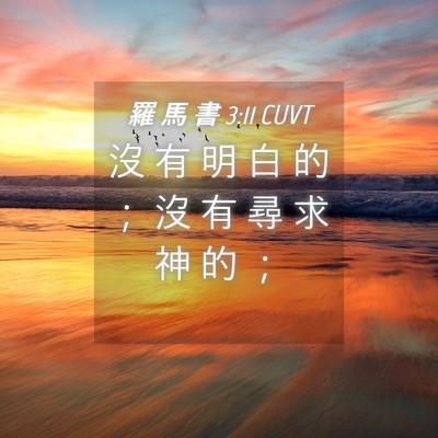 Picture 04 - 羅 馬 書 3:11 CUVT - 沒 有 明 白 的 ； 沒 有 尋 求 神 的 - Bible Verse Picture
