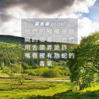 Picture 04 - 羅 馬 書 3:13 CUVT - 他 們 的 喉 嚨 是 敞 開 的 墳 墓 ； - Bible Verse Picture