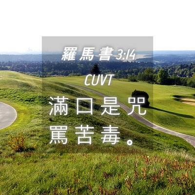 Picture 04 - 羅 馬 書 3:14 CUVT - 滿 口 是 咒 罵 苦 毒 - Bible Verse Picture