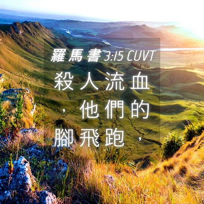 Picture 04 - 羅 馬 書 3:15 CUVT - 殺 人 流 血 ， 他 們 的 腳 飛 跑 - Bible Verse Picture