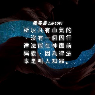 Picture 04 - 羅 馬 書 3:20 CUVT - 所 以 凡 有 血 氣 的 ， 沒 有 一 個 - Bible Verse Picture