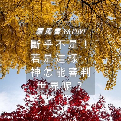 Picture 04 - 羅 馬 書 3:6 CUVT - 斷 乎 不 是 ！ 若 是 這 樣 ， 神 怎 - Bible Verse Picture