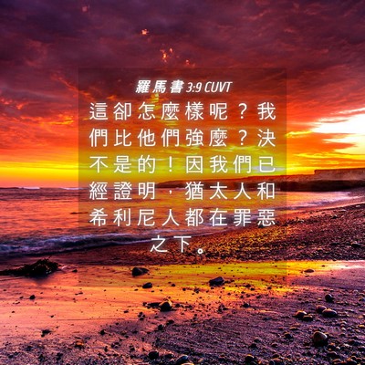 Picture 04 - 羅 馬 書 3:9 CUVT - 這 卻 怎 麼 樣 呢 ？ 我 們 比 他 們 - Bible Verse Picture