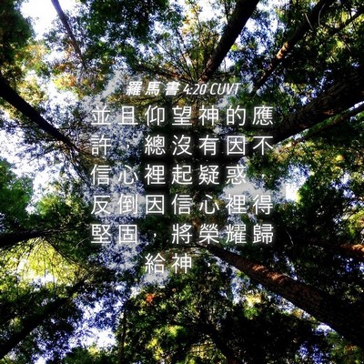 Picture 04 - 羅 馬 書 4:20 CUVT - 並 且 仰 望 神 的 應 許 ， 總 沒 有 - Bible Verse Picture