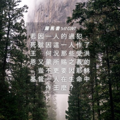 Picture 04 - 羅 馬 書 5:17 CUVT - 若 因 一 人 的 過 犯 ， 死 就 因 這 - Bible Verse Picture