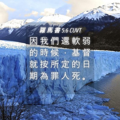 Picture 04 - 羅 馬 書 5:6 CUVT - 因 我 們 還 軟 弱 的 時 候 ， 基 督 - Bible Verse Picture