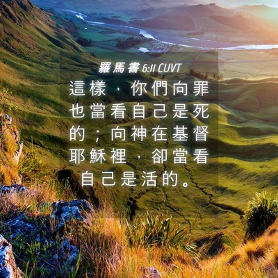 Picture 04 - 羅 馬 書 6:11 CUVT - 這 樣 ， 你 們 向 罪 也 當 看 自 己 - Bible Verse Picture