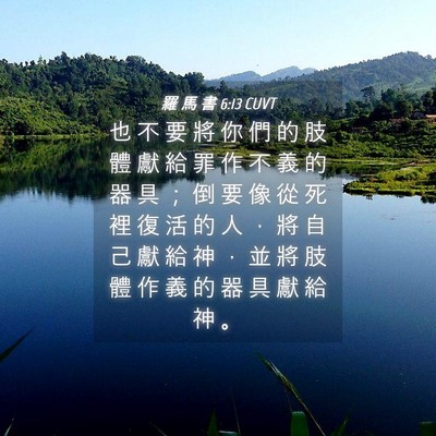 Picture 04 - 羅 馬 書 6:13 CUVT - 也 不 要 將 你 們 的 肢 體 獻 給 罪 - Bible Verse Picture