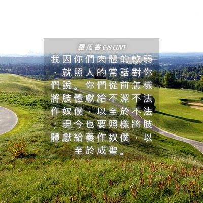 Picture 04 - 羅 馬 書 6:19 CUVT - 我 因 你 們 肉 體 的 軟 弱 ， 就 照 - Bible Verse Picture