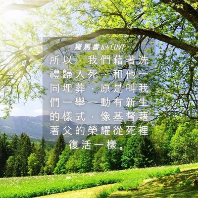 Picture 04 - 羅 馬 書 6:4 CUVT - 所 以 ， 我 們 藉 著 洗 禮 歸 入 死 - Bible Verse Picture