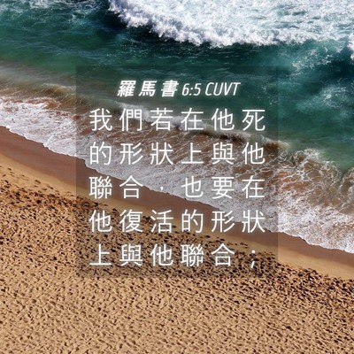 Picture 04 - 羅 馬 書 6:5 CUVT - 我 們 若 在 他 死 的 形 狀 上 與 他 - Bible Verse Picture