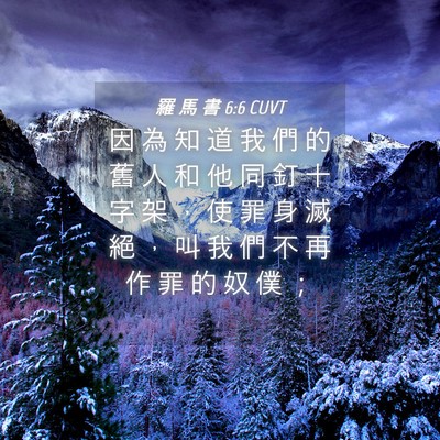 Picture 04 - 羅 馬 書 6:6 CUVT - 因 為 知 道 我 們 的 舊 人 和 他 同 - Bible Verse Picture