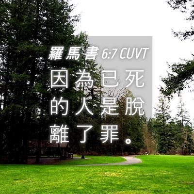 Picture 04 - 羅 馬 書 6:7 CUVT - 因 為 已 死 的 人 是 脫 離 了 罪 - Bible Verse Picture