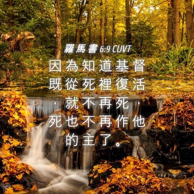 Picture 04 - 羅 馬 書 6:9 CUVT - 因 為 知 道 基 督 既 從 死 裡 復 活 - Bible Verse Picture