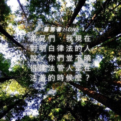 Picture 04 - 羅 馬 書 7:1 CUVT - 弟 兄 們 ， 我 現 在 對 明 白 律 法 - Bible Verse Picture