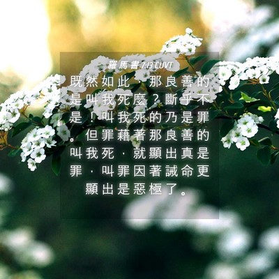 Picture 04 - 羅 馬 書 7:13 CUVT - 既 然 如 此 ， 那 良 善 的 是 叫 我 - Bible Verse Picture