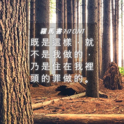 Picture 04 - 羅 馬 書 7:17 CUVT - 既 是 這 樣 ， 就 不 是 我 做 的 ， - Bible Verse Picture