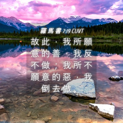 Picture 04 - 羅 馬 書 7:19 CUVT - 故 此 ， 我 所 願 意 的 善 ， 我 反 - Bible Verse Picture