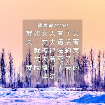 Picture 04 - 羅 馬 書 7:2 CUVT - 就 如 女 人 有 了 丈 夫 ， 丈 夫 還 - Bible Verse Picture