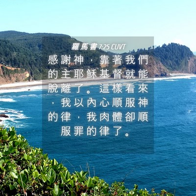 Picture 04 - 羅 馬 書 7:25 CUVT - 感 謝 神 ， 靠 著 我 們 的 主 耶 穌 - Bible Verse Picture