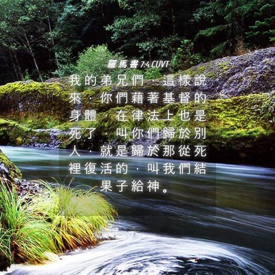 Picture 04 - 羅 馬 書 7:4 CUVT - 我 的 弟 兄 們 ， 這 樣 說 來 ， 你 - Bible Verse Picture