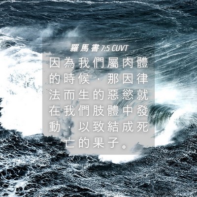 Picture 04 - 羅 馬 書 7:5 CUVT - 因 為 我 們 屬 肉 體 的 時 候 ， 那 - Bible Verse Picture