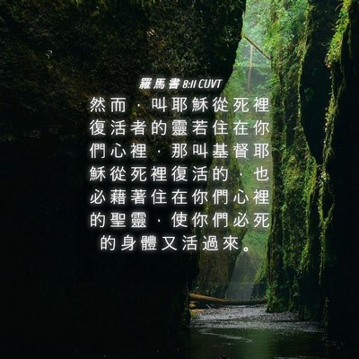 Picture 04 - 羅 馬 書 8:11 CUVT - 然 而 ， 叫 耶 穌 從 死 裡 復 活 者 - Bible Verse Picture