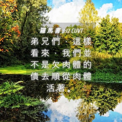 Picture 04 - 羅 馬 書 8:12 CUVT - 弟 兄 們 ， 這 樣 看 來 ， 我 們 並 - Bible Verse Picture