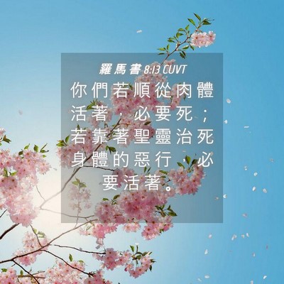 Picture 04 - 羅 馬 書 8:13 CUVT - 你 們 若 順 從 肉 體 活 著 ， 必 要 - Bible Verse Picture