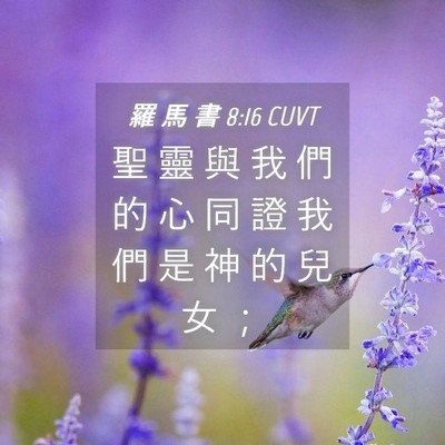 Picture 04 - 羅 馬 書 8:16 CUVT - 聖 靈 與 我 們 的 心 同 證 我 們 是 - Bible Verse Picture
