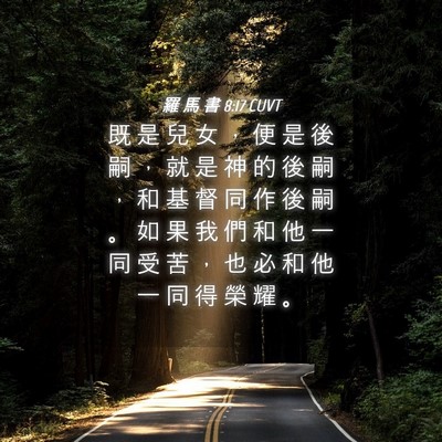 Picture 04 - 羅 馬 書 8:17 CUVT - 既 是 兒 女 ， 便 是 後 嗣 ， 就 是 - Bible Verse Picture