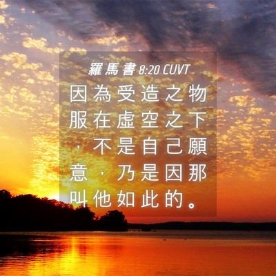 Picture 04 - 羅 馬 書 8:20 CUVT - 因 為 受 造 之 物 服 在 虛 空 之 下 - Bible Verse Picture