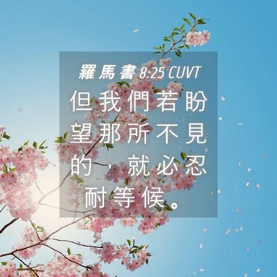 Picture 04 - 羅 馬 書 8:25 CUVT - 但 我 們 若 盼 望 那 所 不 見 的 ， - Bible Verse Picture