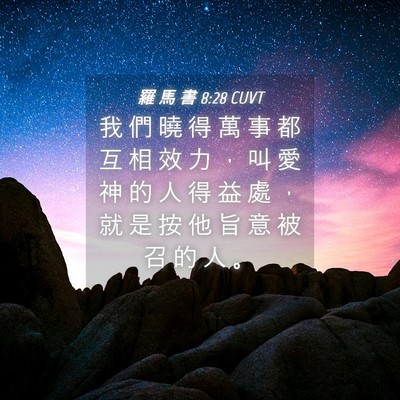 Picture 04 - 羅 馬 書 8:28 CUVT - 我 們 曉 得 萬 事 都 互 相 效 力 ， - Bible Verse Picture
