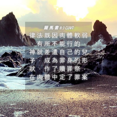 Picture 04 - 羅 馬 書 8:3 CUVT - 律 法 既 因 肉 體 軟 弱 ， 有 所 不 - Bible Verse Picture