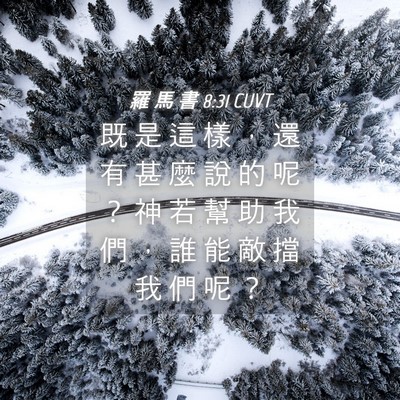 Picture 04 - 羅 馬 書 8:31 CUVT - 既 是 這 樣 ， 還 有 甚 麼 說 的 呢 - Bible Verse Picture