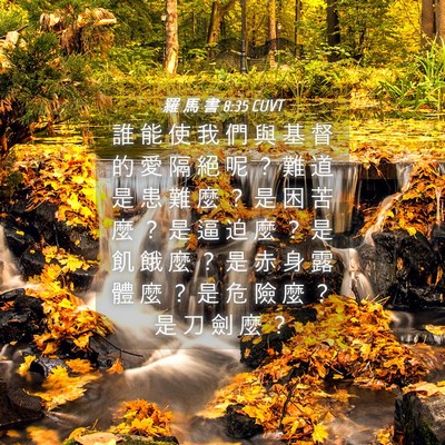 Picture 04 - 羅 馬 書 8:35 CUVT - 誰 能 使 我 們 與 基 督 的 愛 隔 絕 - Bible Verse Picture
