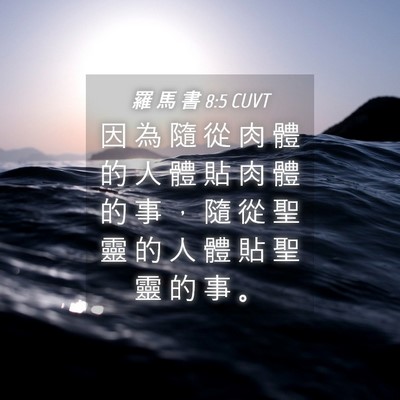 Picture 04 - 羅 馬 書 8:5 CUVT - 因 為 隨 從 肉 體 的 人 體 貼 肉 體 - Bible Verse Picture