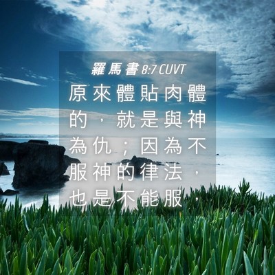 Picture 04 - 羅 馬 書 8:7 CUVT - 原 來 體 貼 肉 體 的 ， 就 是 與 神 - Bible Verse Picture