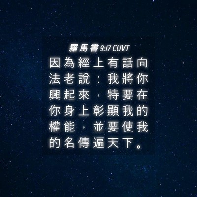 Picture 04 - 羅 馬 書 9:17 CUVT - 因 為 經 上 有 話 向 法 老 說 ： 我 - Bible Verse Picture