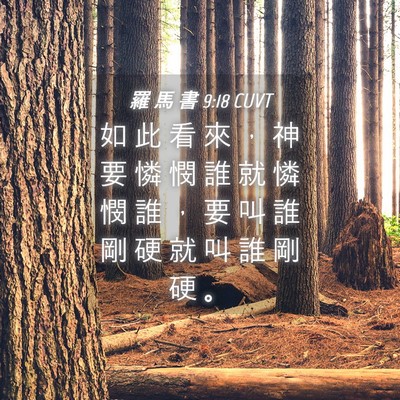 Picture 04 - 羅 馬 書 9:18 CUVT - 如 此 看 來 ， 神 要 憐 憫 誰 就 憐 - Bible Verse Picture