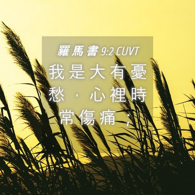Picture 04 - 羅 馬 書 9:2 CUVT - 我 是 大 有 憂 愁 ， 心 裡 時 常 傷 - Bible Verse Picture